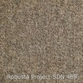 /products/robusta-project-sdn-469/